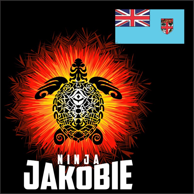 T-Shirt - Ninja Jakobie